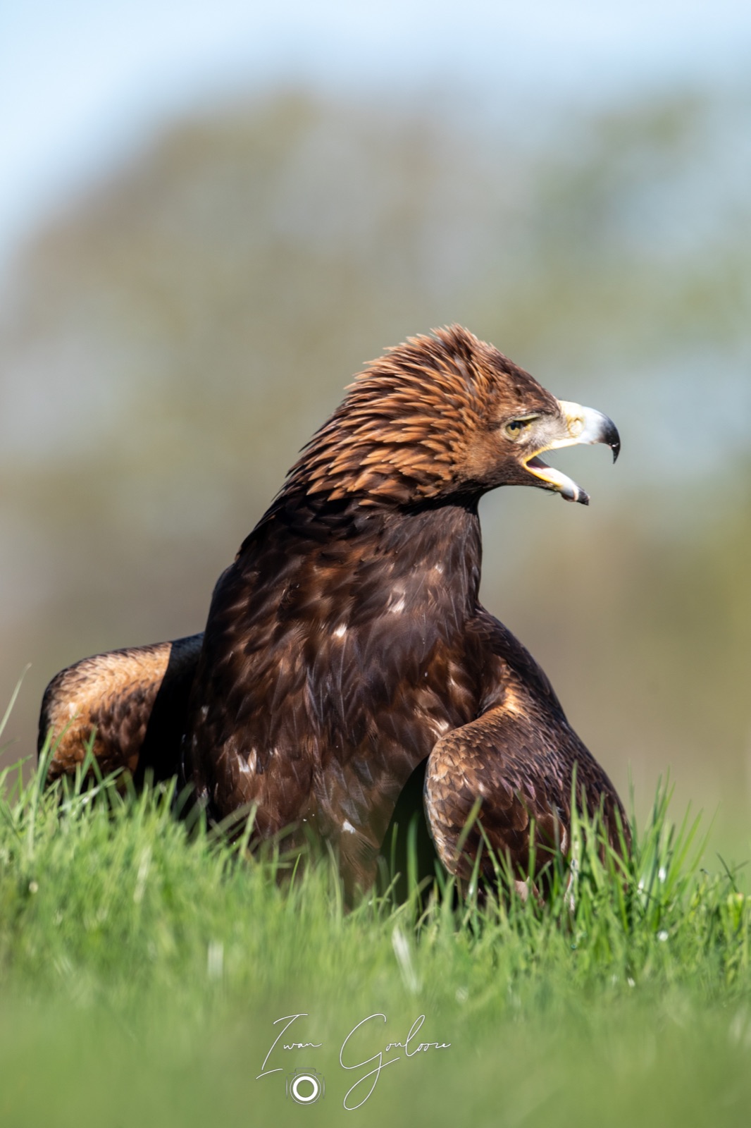 18 april 2022 091850  5D46341